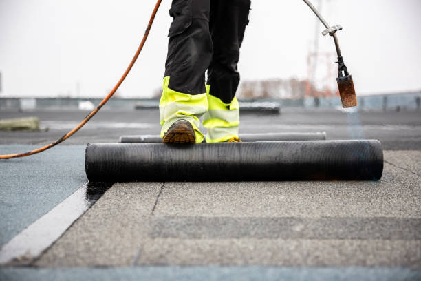 Best Skylight Installation and Repair  in Tillson, NY