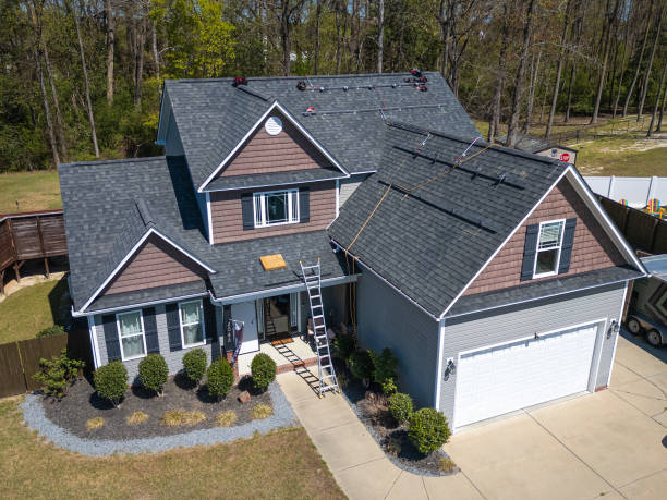 Best Roof Moss and Algae Removal  in Tillson, NY